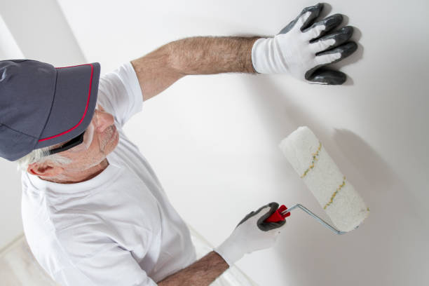 Trusted Glens Falls, NY Mold Removal Experts