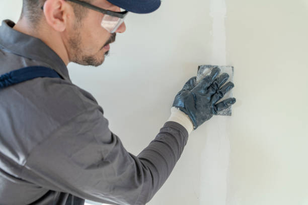 Best Black Mold Removal  in Glens Falls, NY